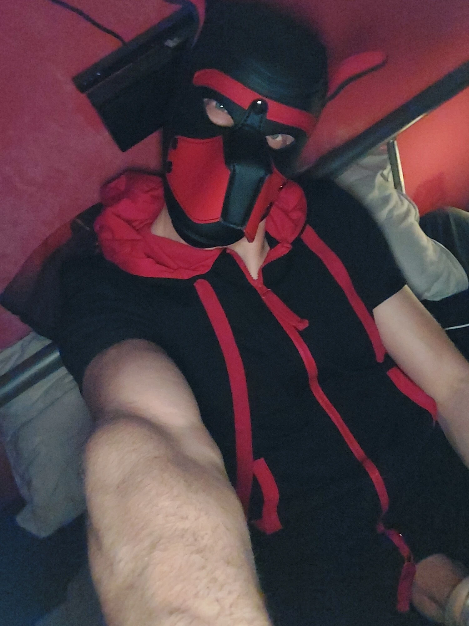 Azgın köpek yavrusu