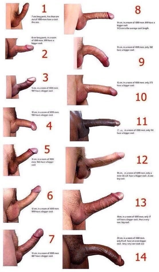 Cock collection