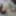 Wife Toys
