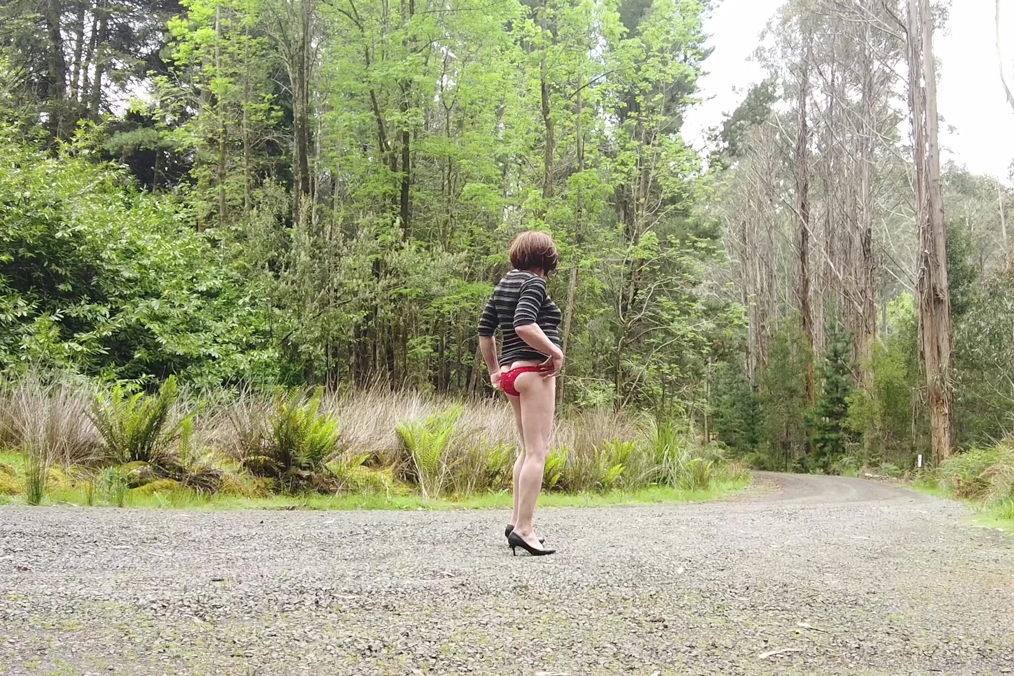 Crossdress Roadtrip - Sunny Forest Road