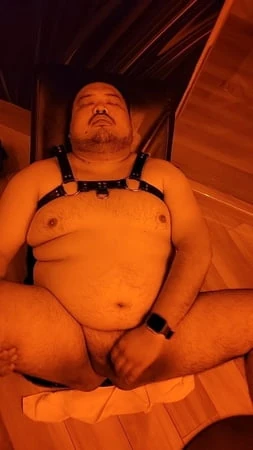 Panda koşumlu