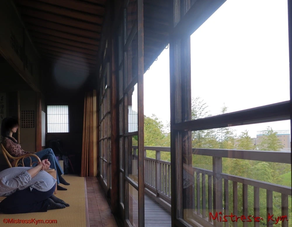 My Sub and I - Femdom Story