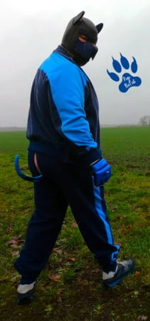 Pup in german army tracksuit