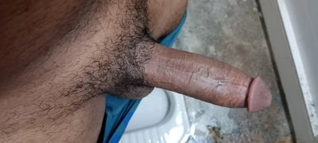 Hintli desi büyük yarak 