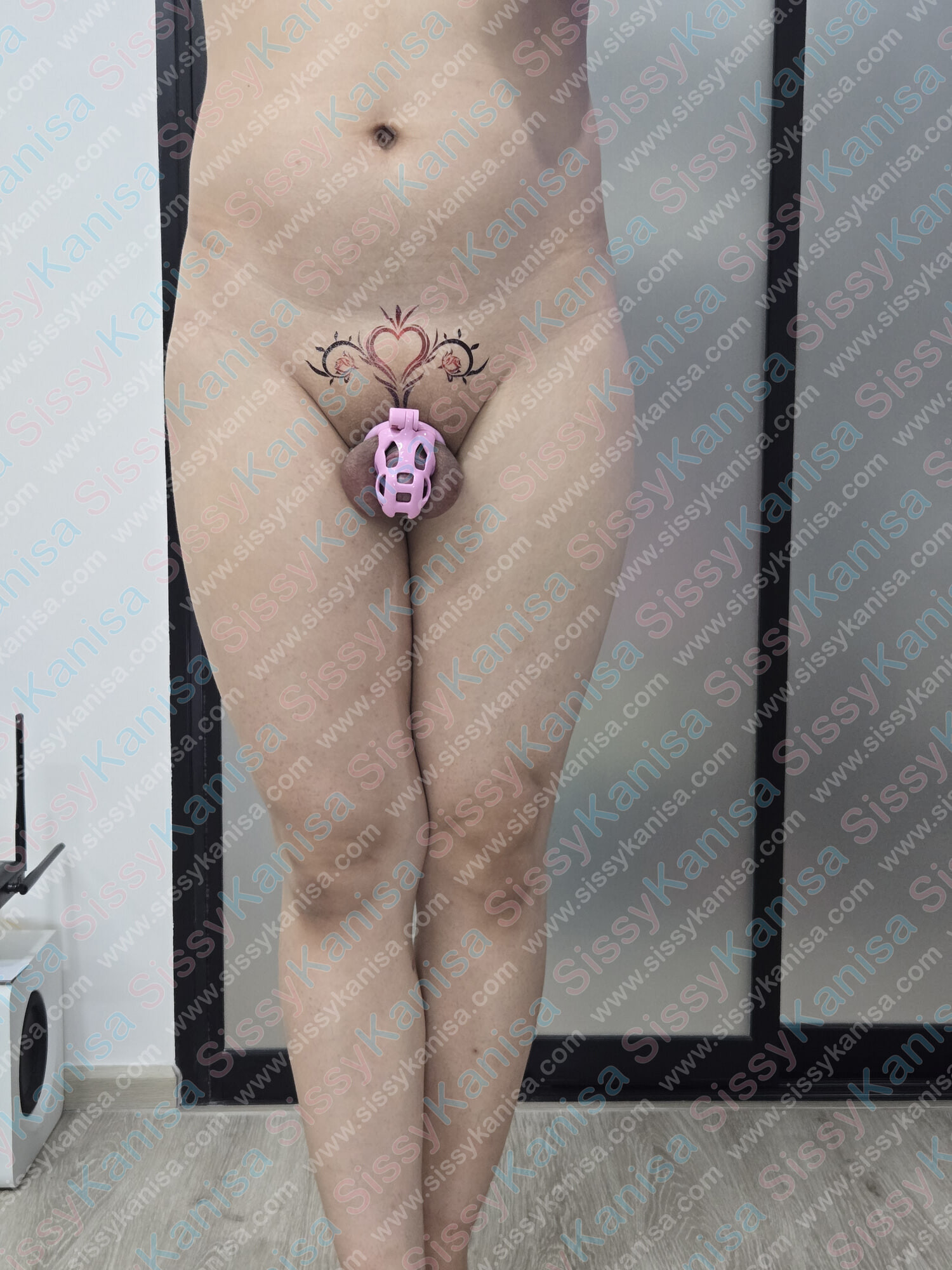Sissykanisa fotoğraf albümü: pembe bekaret kafesi ve anal tıkaç