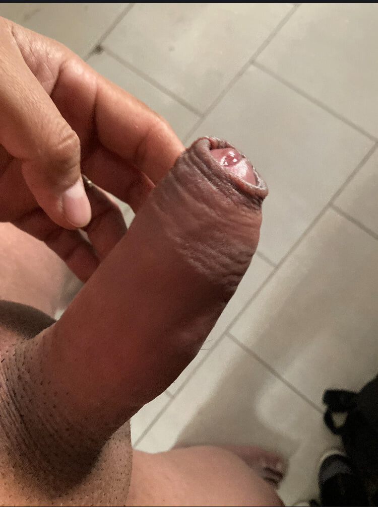 Penis (yarak)