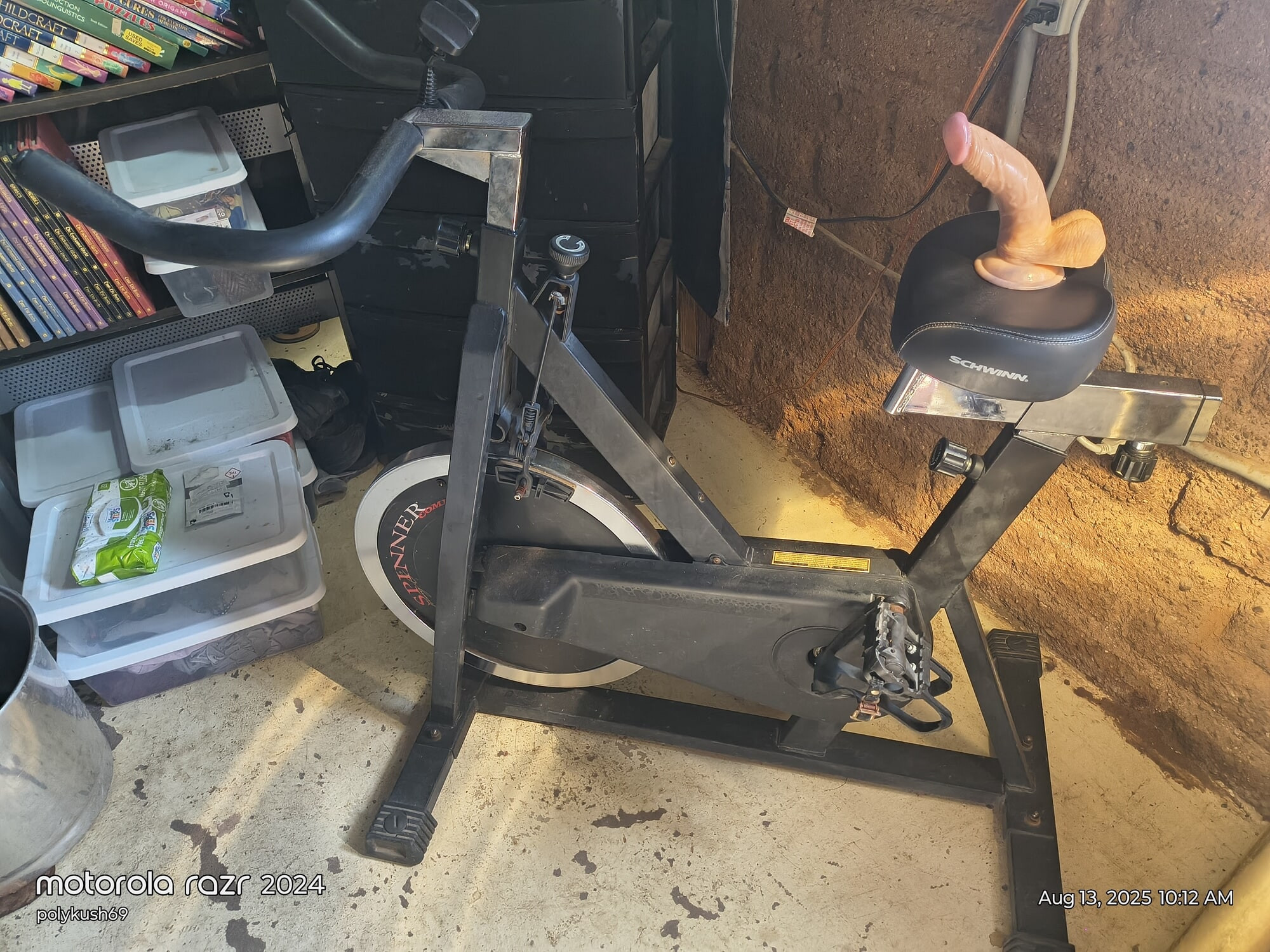 Exercise ride