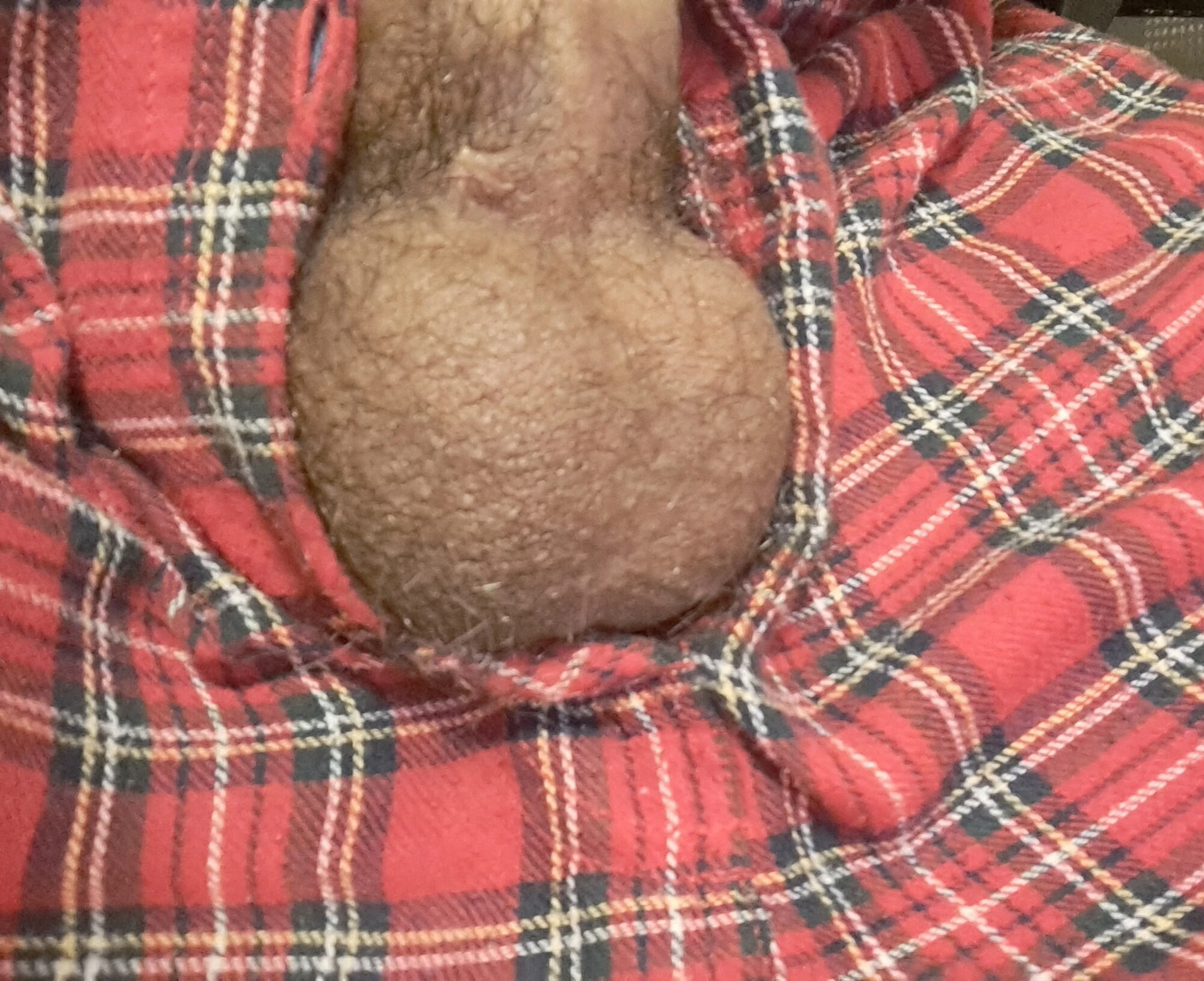 Daddies'in Dolu Taşakları Senin İçin