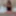 Sadie Schafer: New Submissive Midnight Ballerina