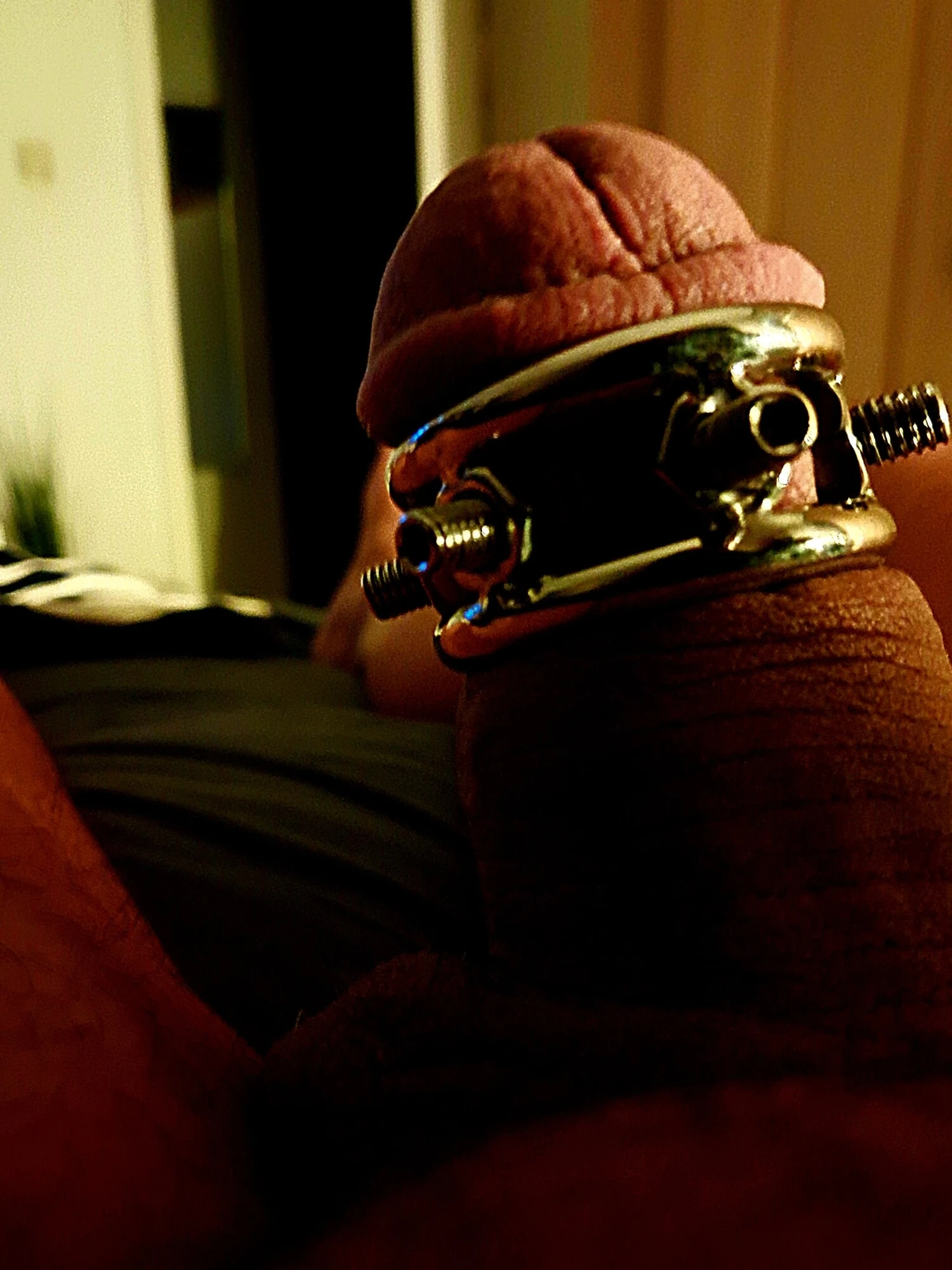 Ereksiyon ve sonuçları