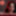 xHamster Creators Halloween Contest!