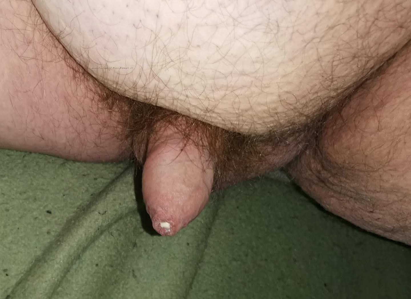 My little cock