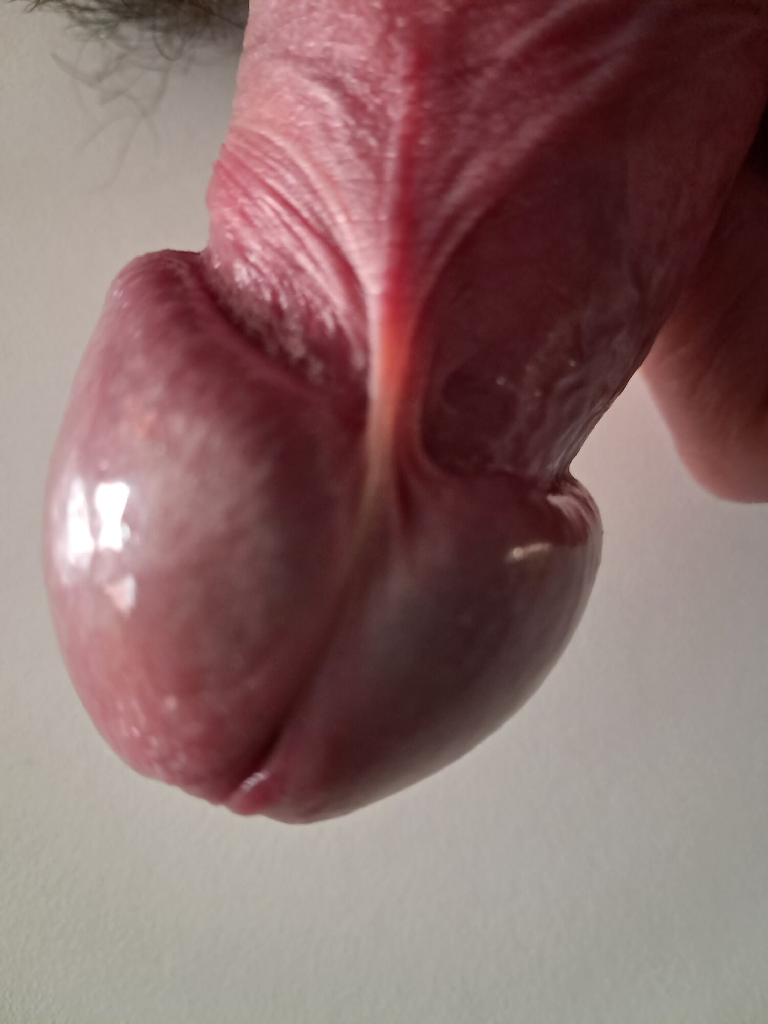 Domenica Mattina 