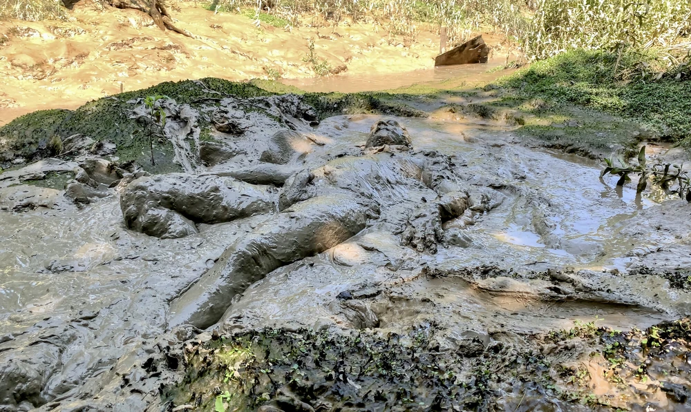 SHOT : MUD SUBMISSION #4
