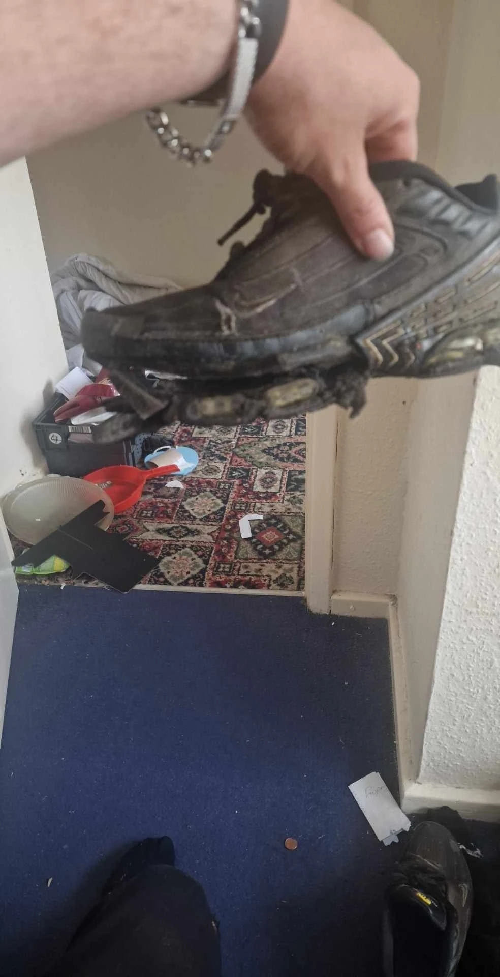 Жо8-кроссовки