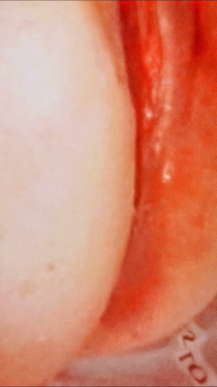 My wet pussy for my bunnies