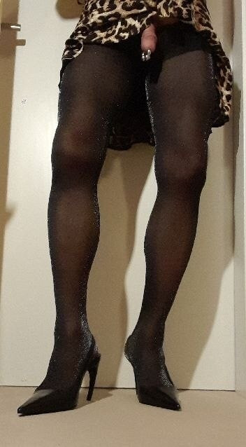 Meine Nylonbeine 