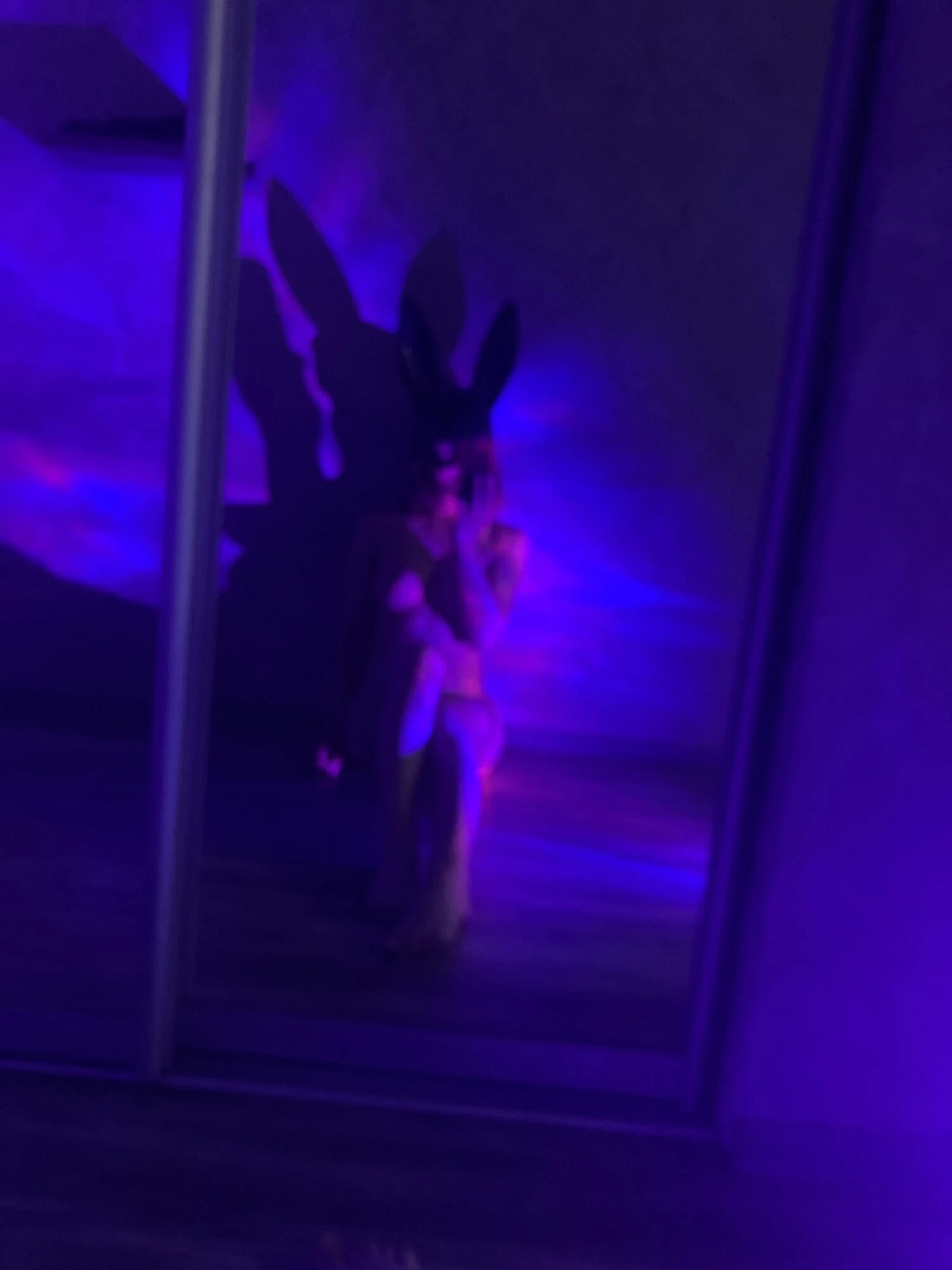 Зайчик был оставлен хозяйкой🐰