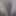 Wife pussy photo