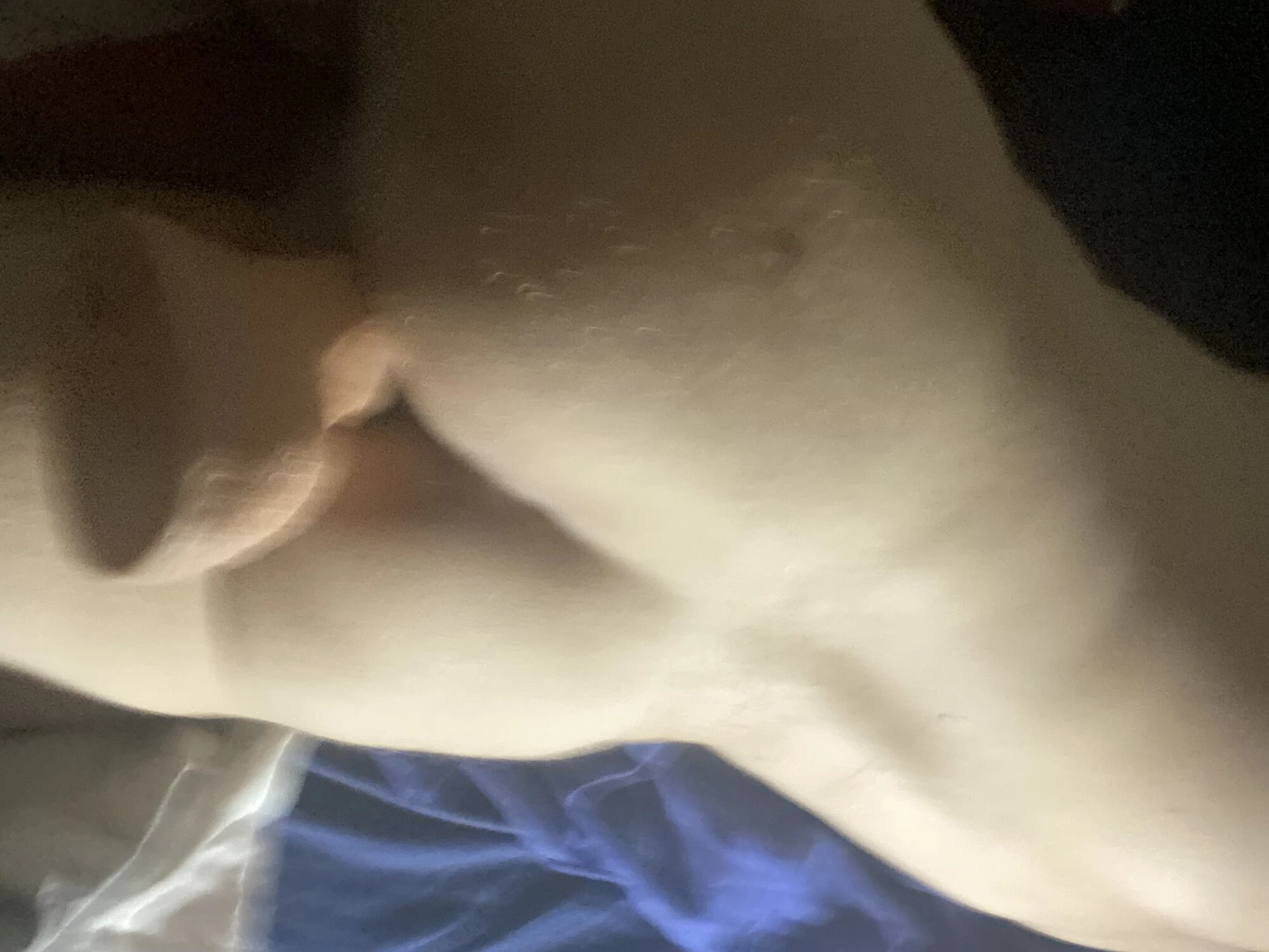 Jeff Stryker sıkı asamdaki dildo