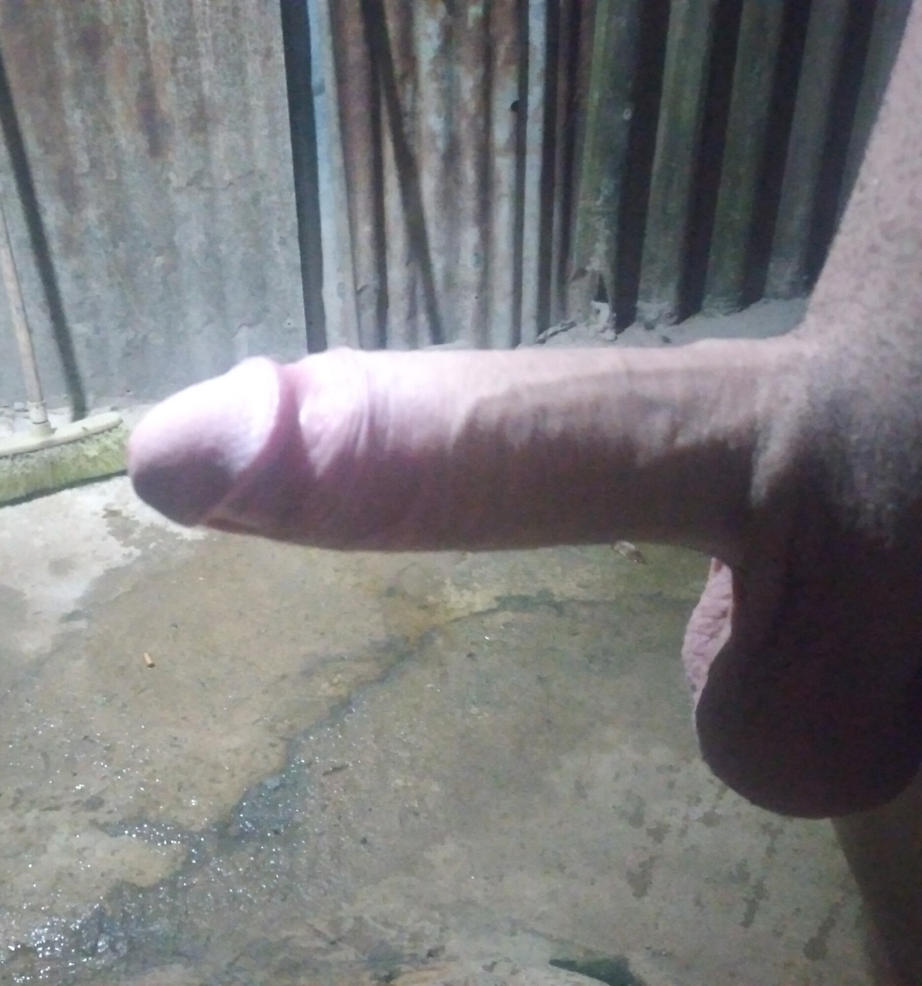 15 cm sik