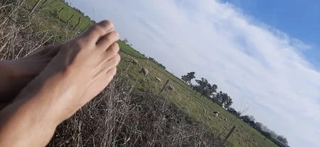 Tarlayı ziyaret etmek..... ne yapabiliriz...