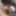 Ebony African Teen Blowjob Cum in Mouth 7