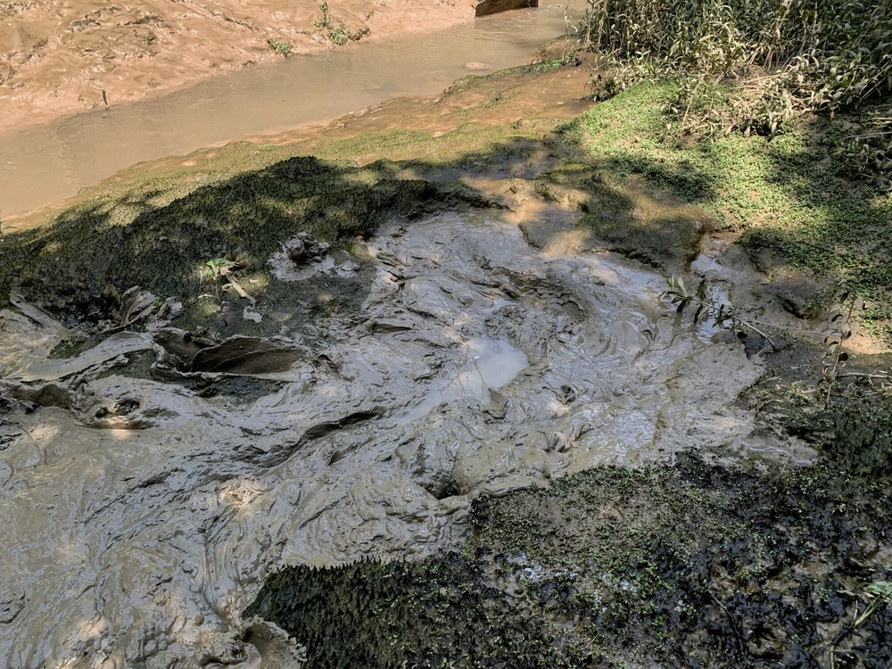 SHOT : MUD SUBMISSION #2