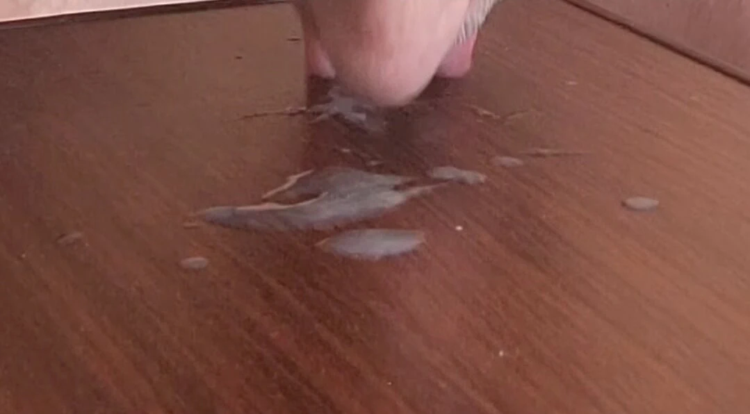 Boşalıyorum ve kendi dölümü yiyorum