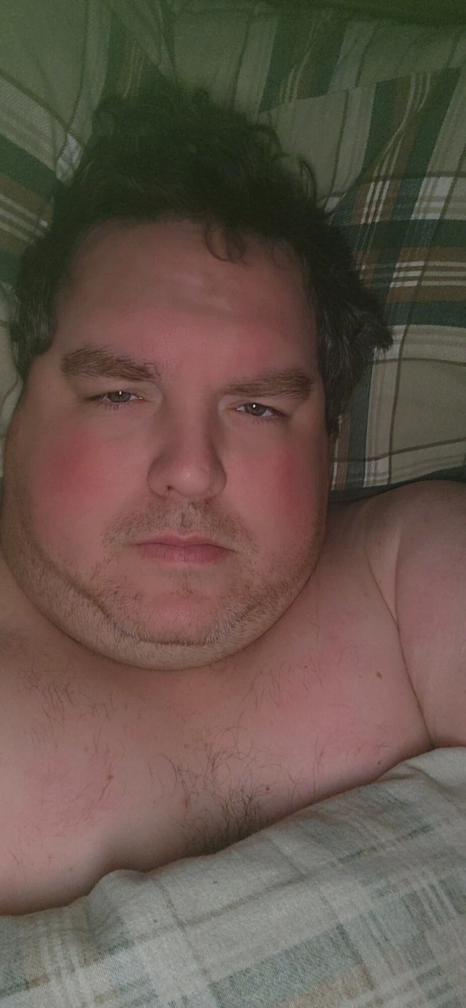 порно король