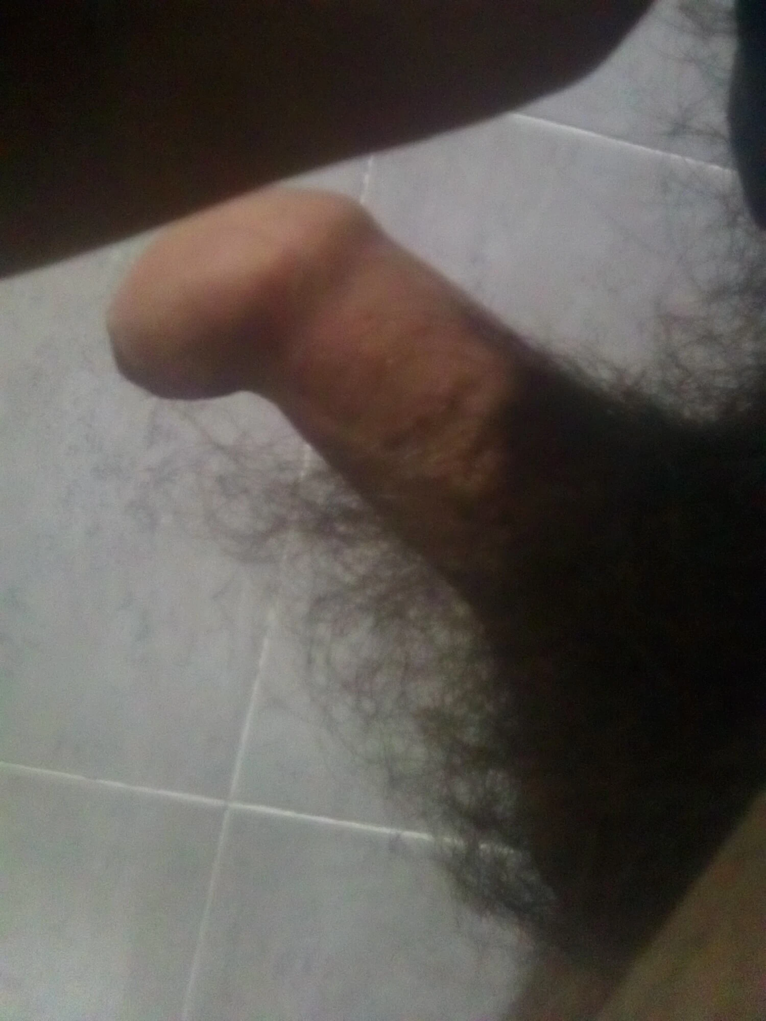 Penis 