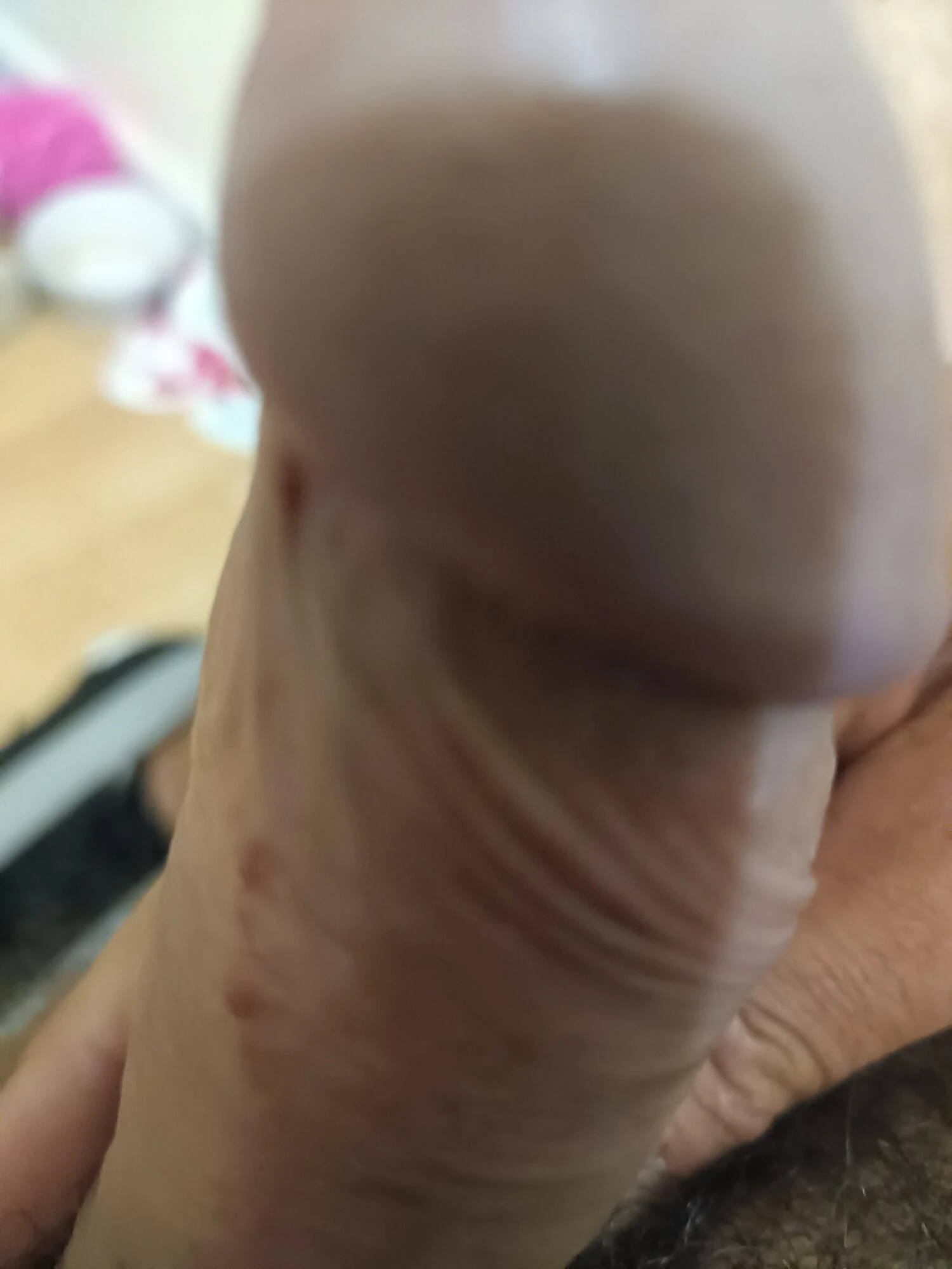 Küçük bir anne arıyorum