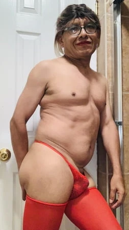 Gatita 6