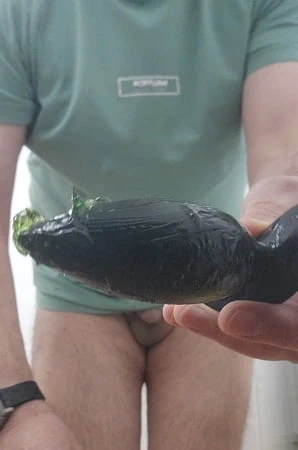 Göt deliği eğitimi