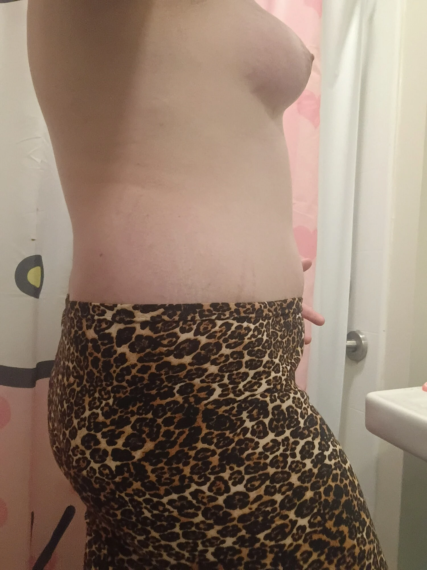 Cheetah #2