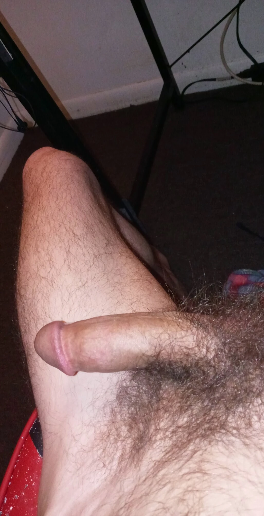 Dolu