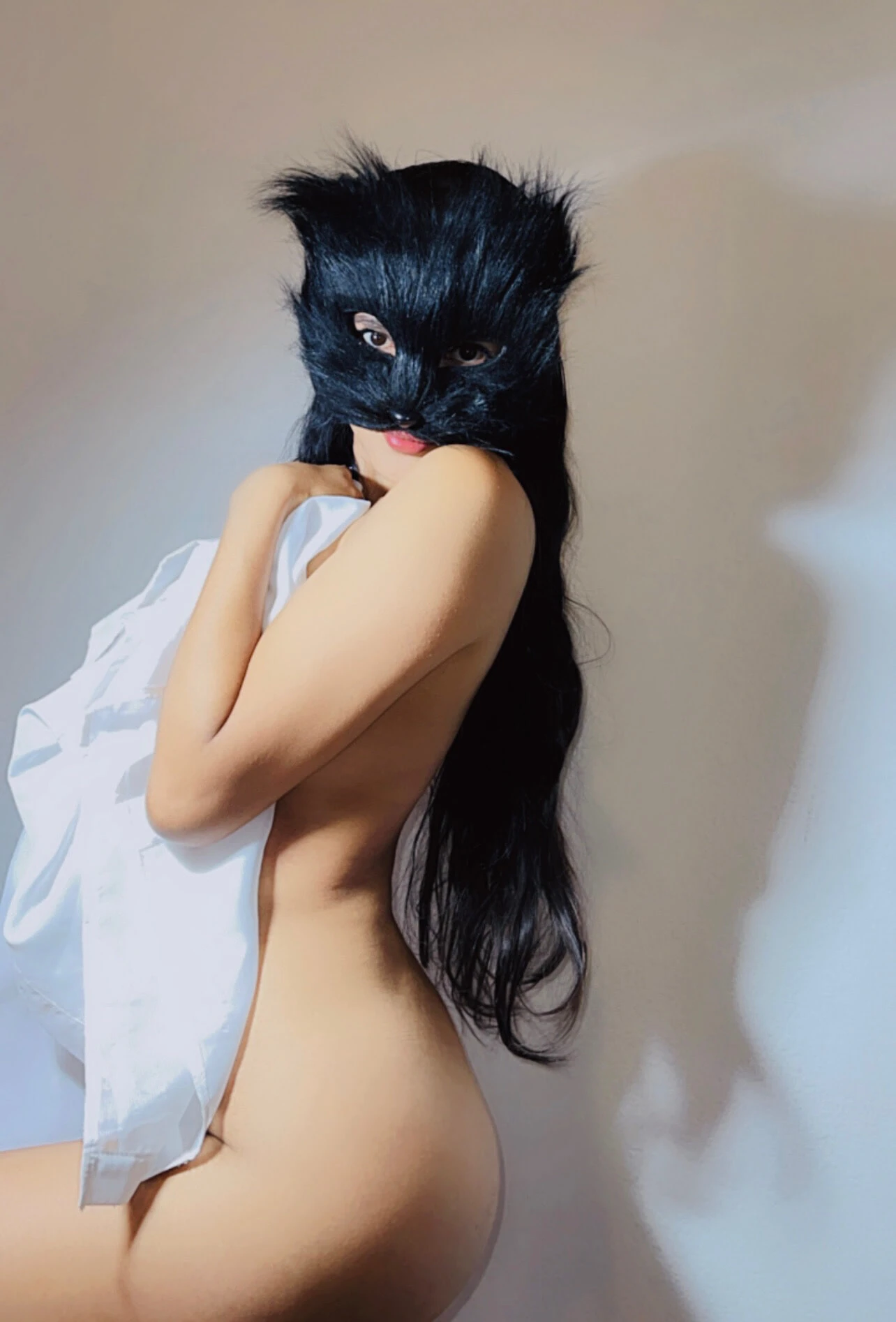 Model for u #4