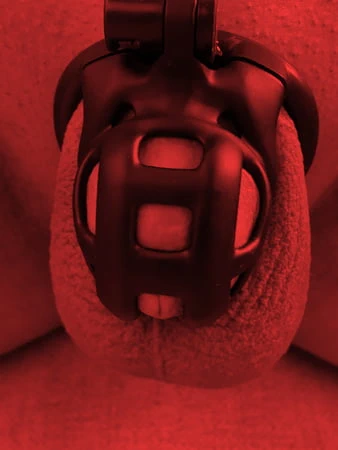 Kızıl sahibe: arzuyla bağlı