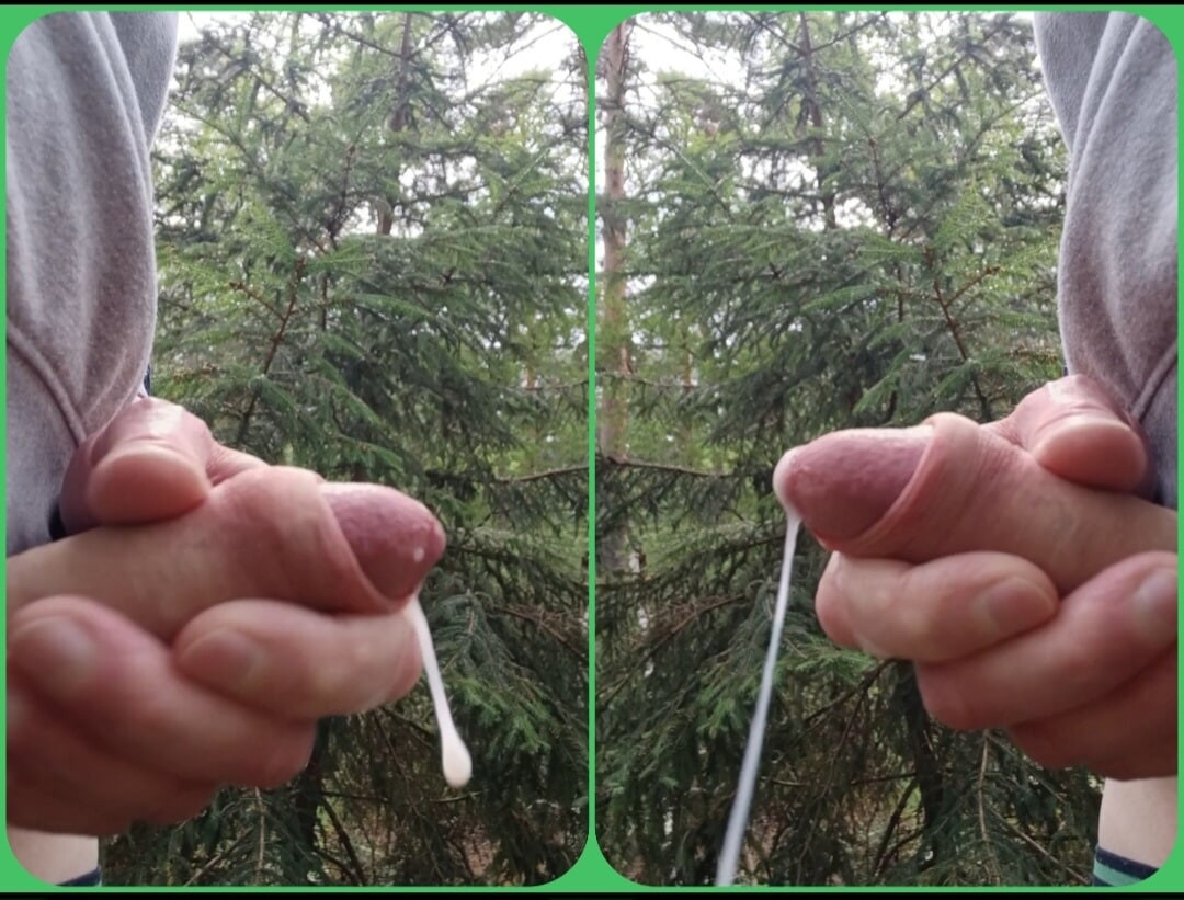 İsveçli doğa ve yarak