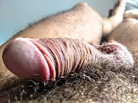 Hepinizi gösteriyorum