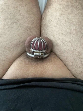 Minidick'im için yeni kafes