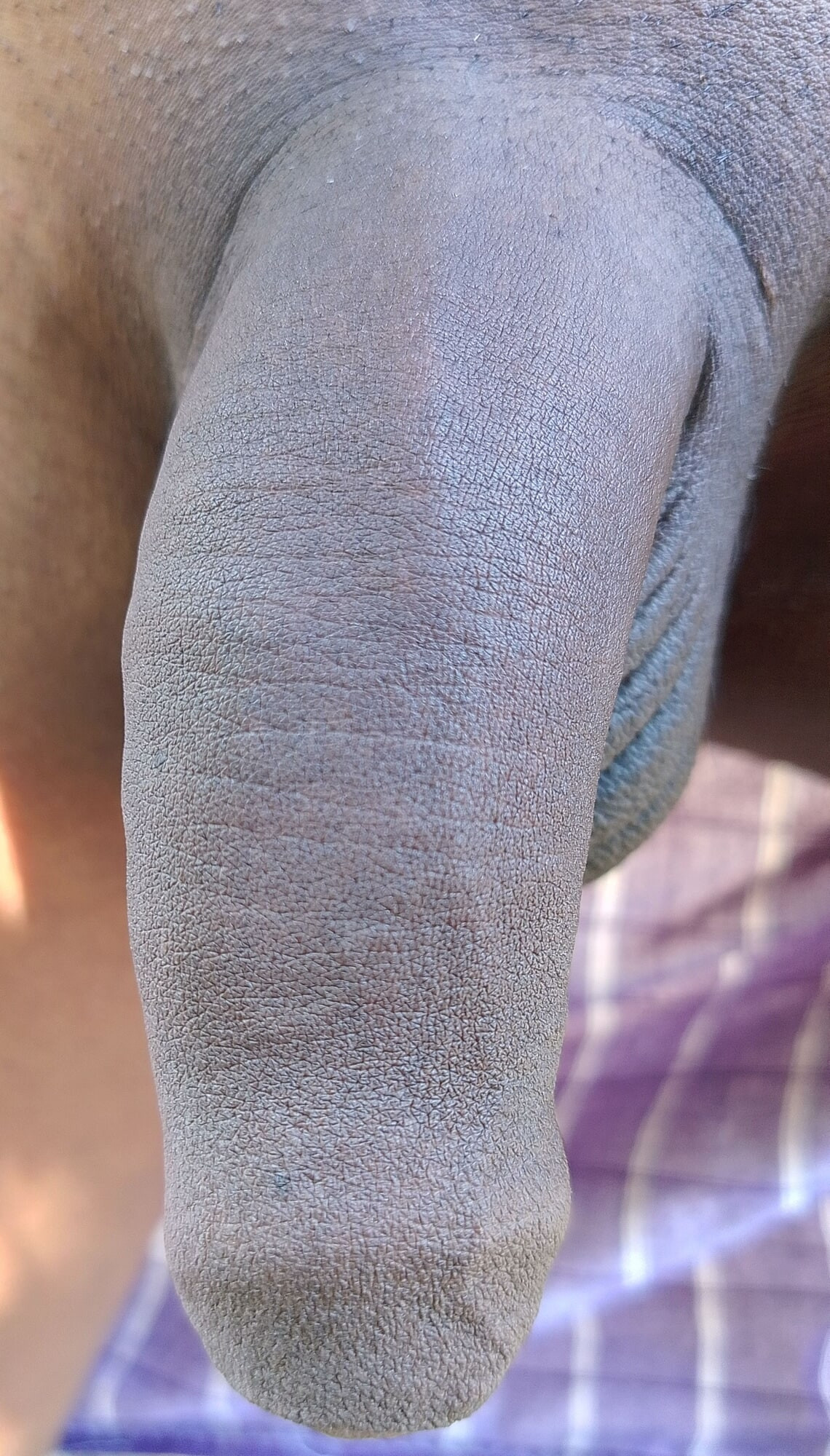 Hard cock for Harmit