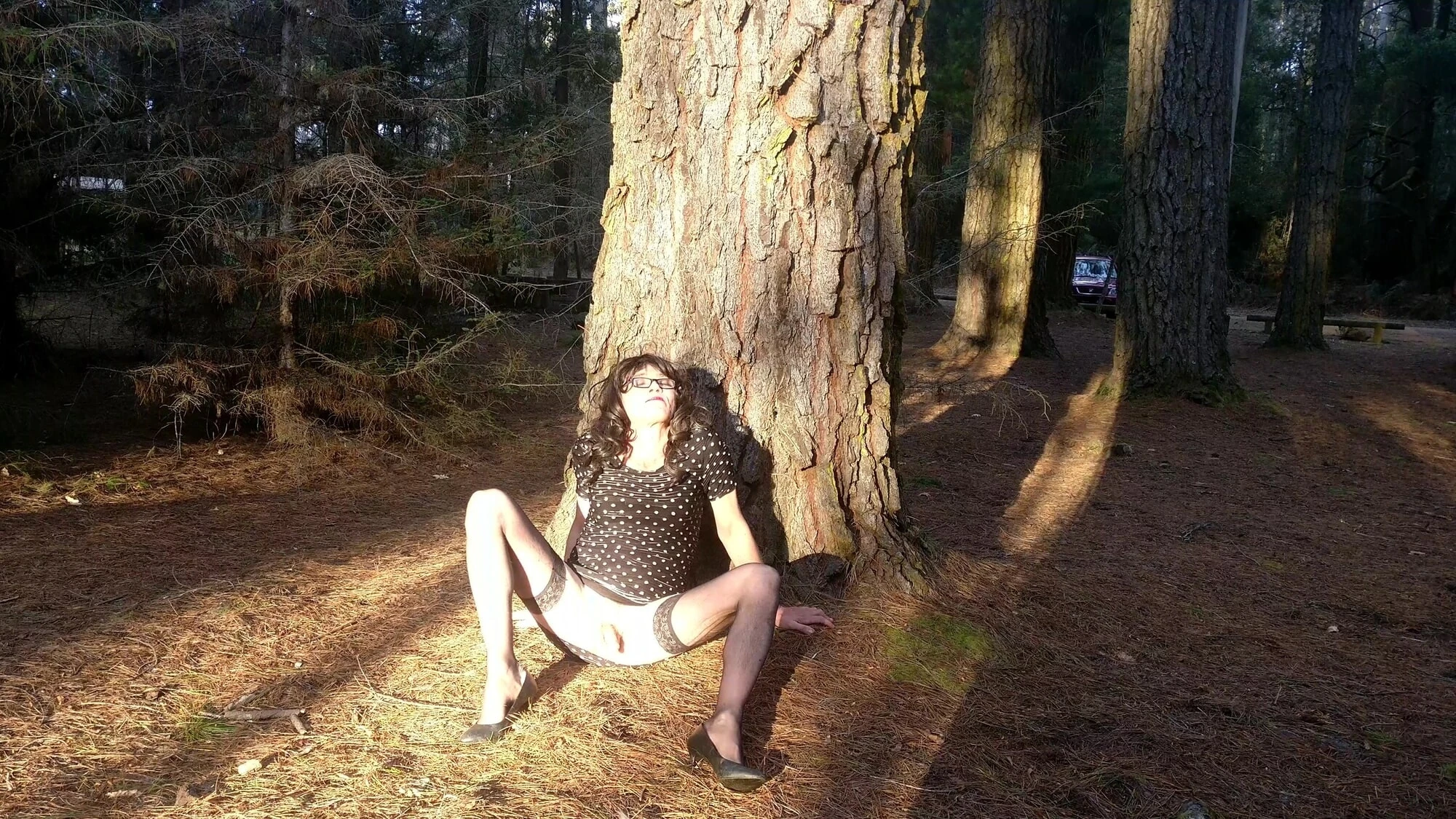 Crossdress Roadtrip - Pine Forest
