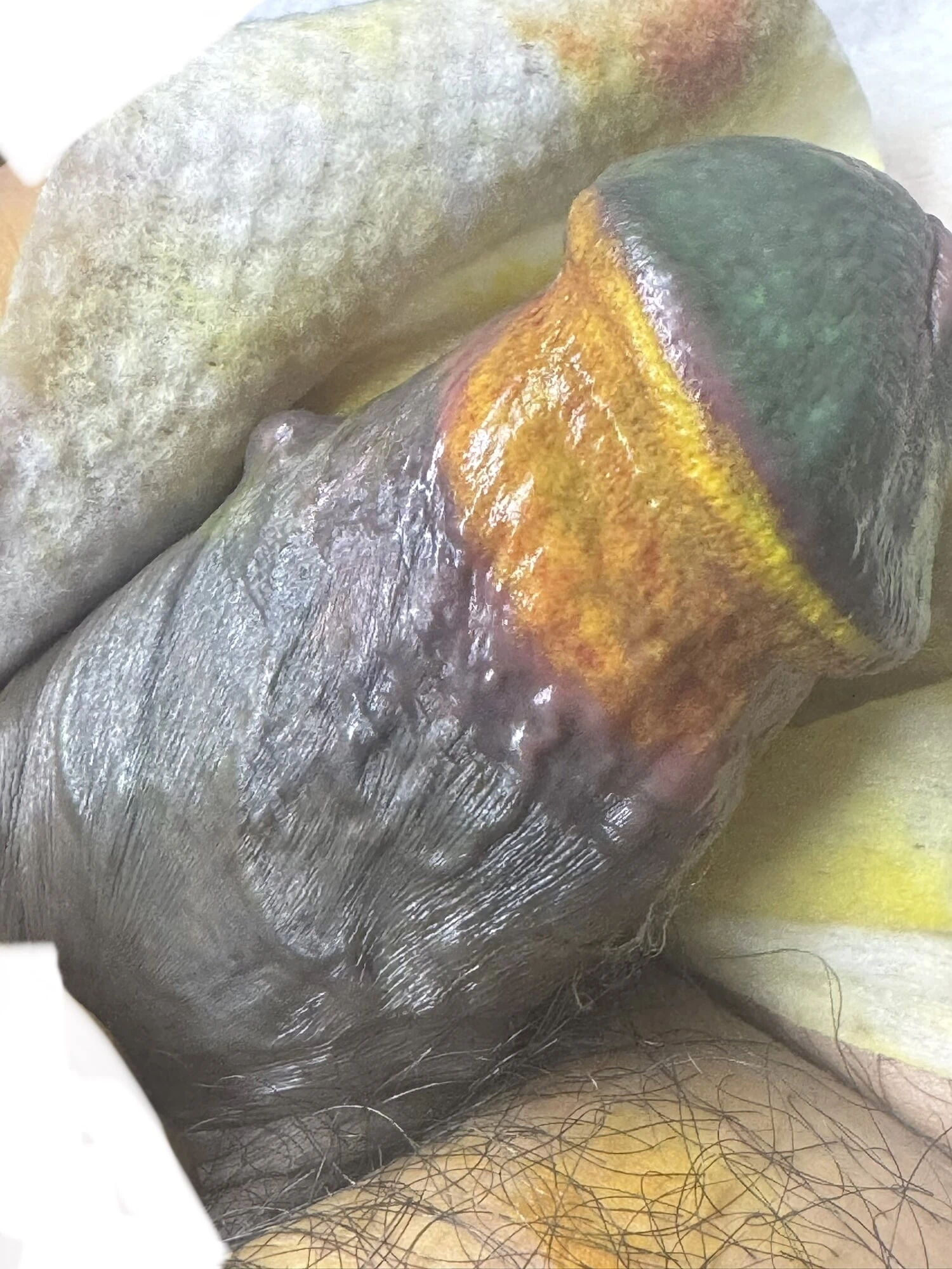 Tattooedcock itaatkar meatotomi