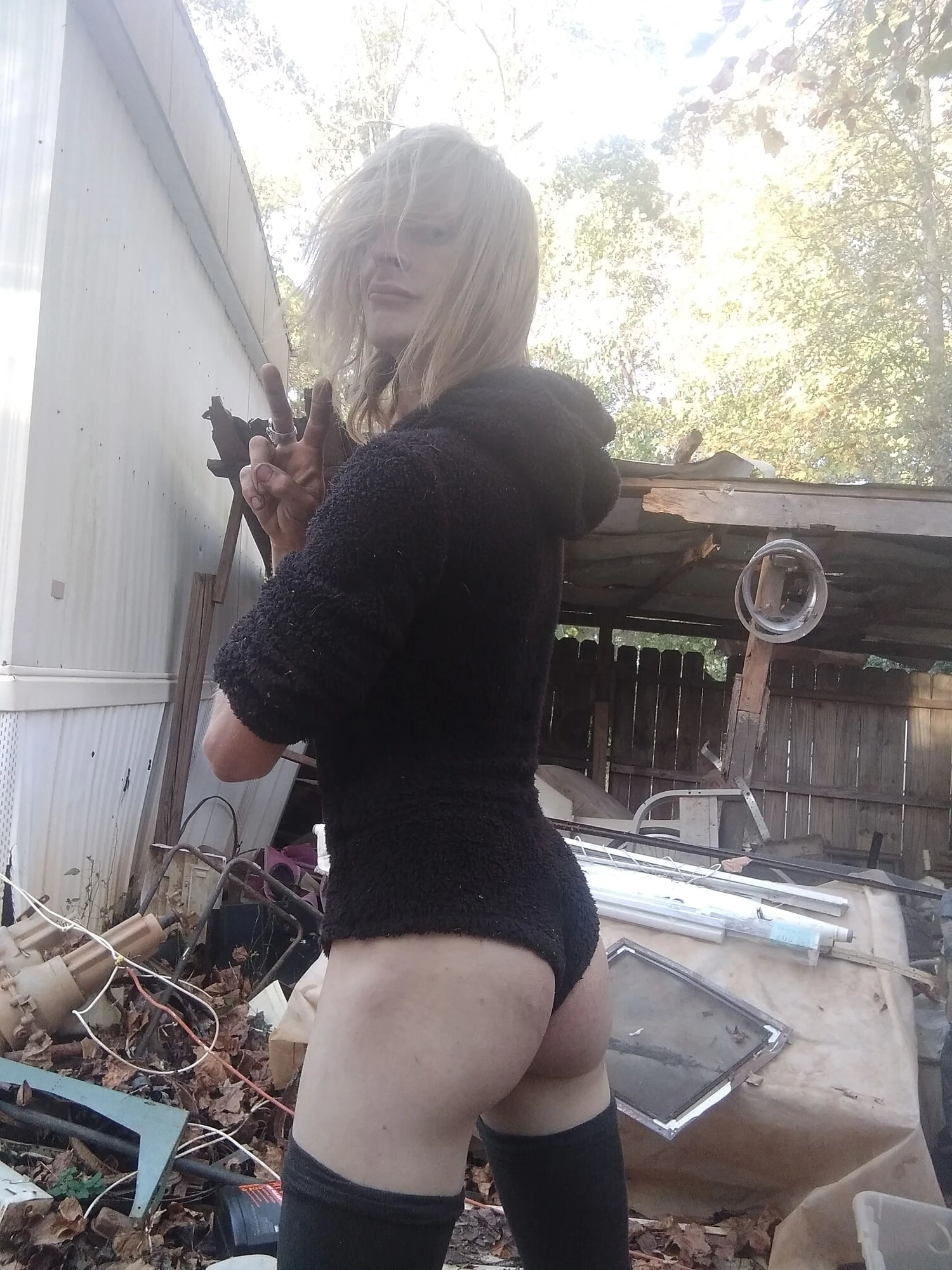 CalicoCountryBOI
