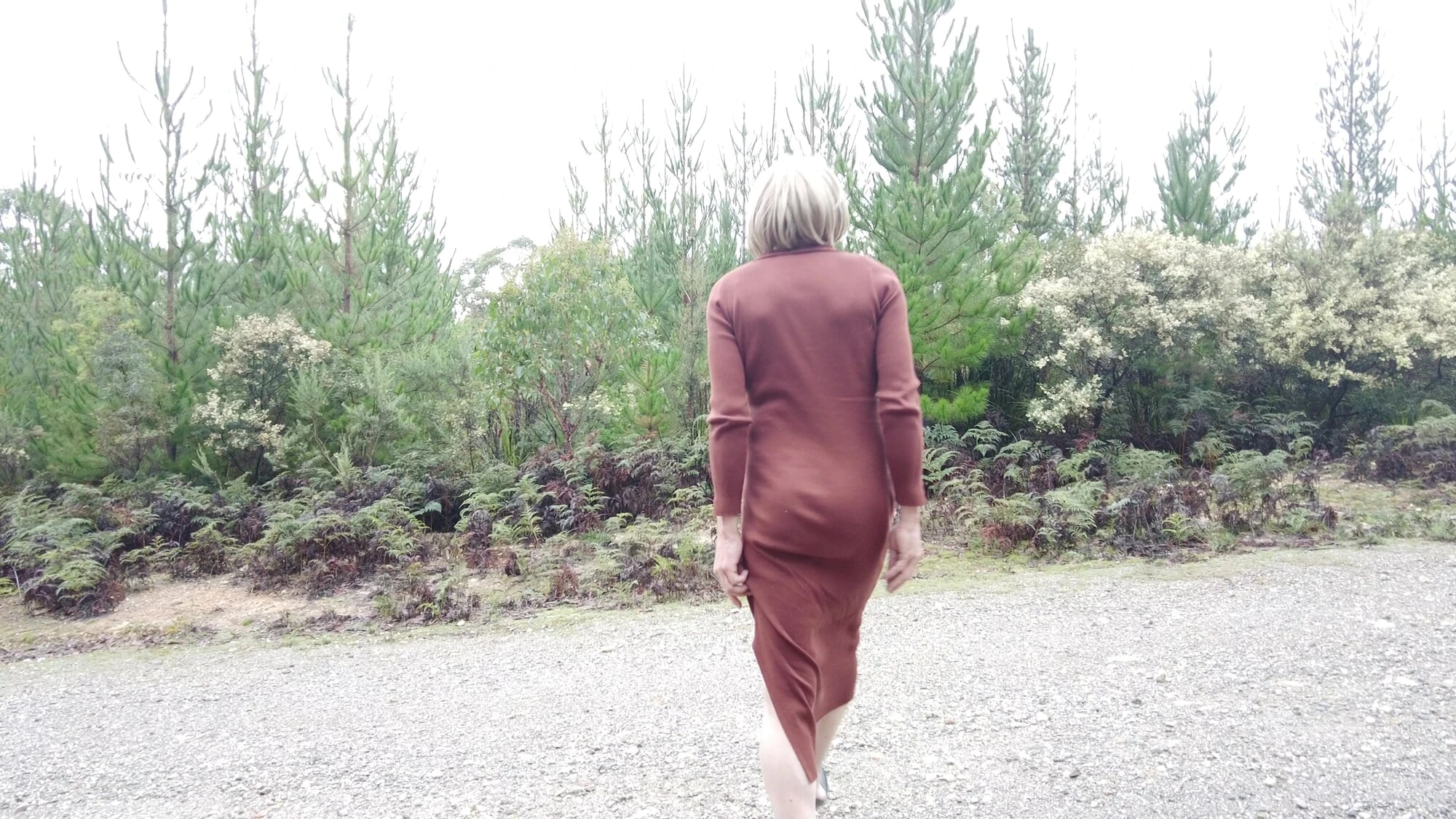 Crossdress - Yolculuk - Yeni çam plantasyonu