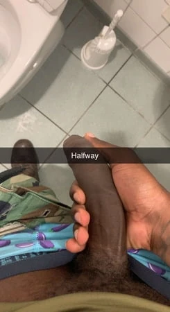 Siyah siki