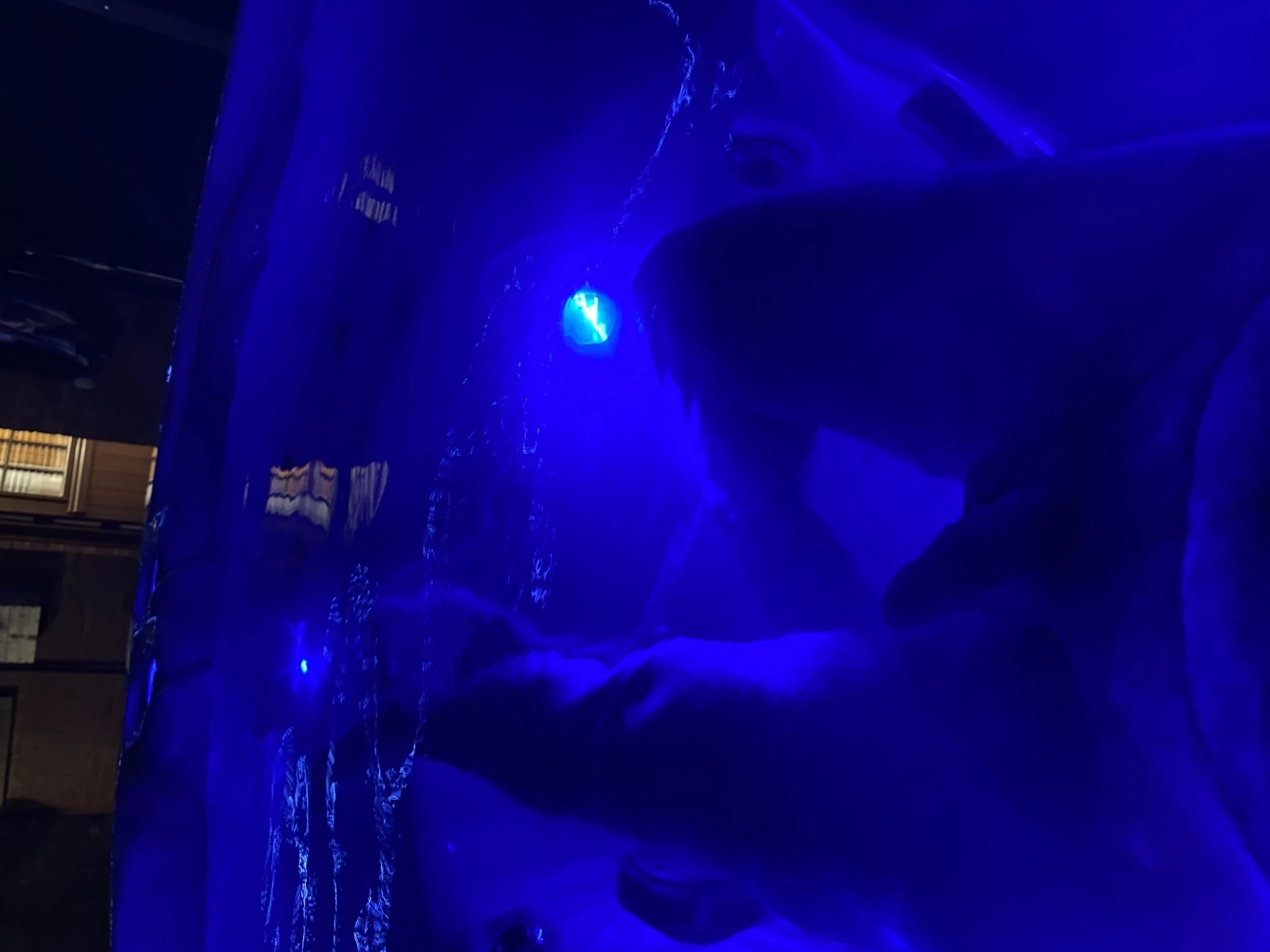 Последние фотографии