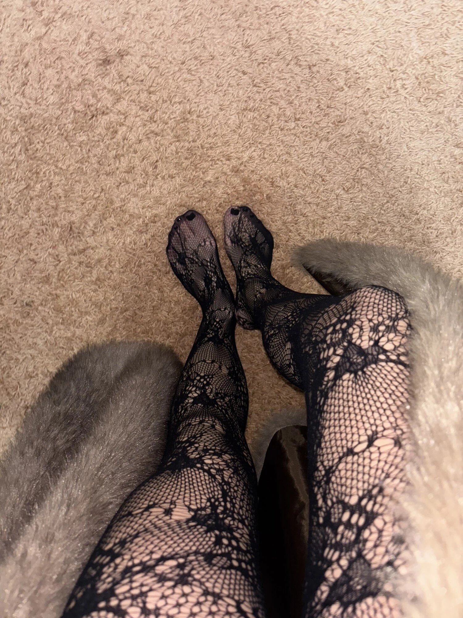 Seksi çoraplı ve topuklu uzun bacaklar