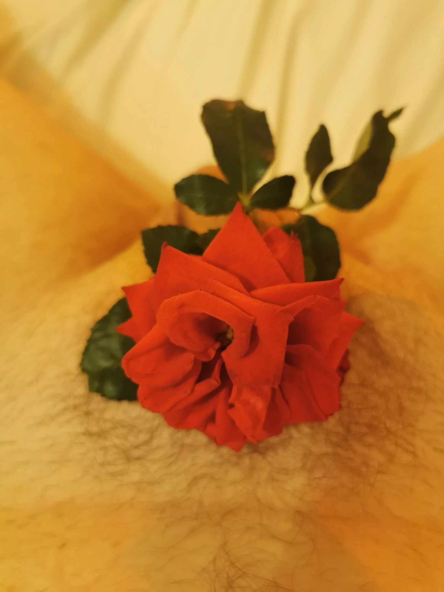 Ben senin sevgilinim 